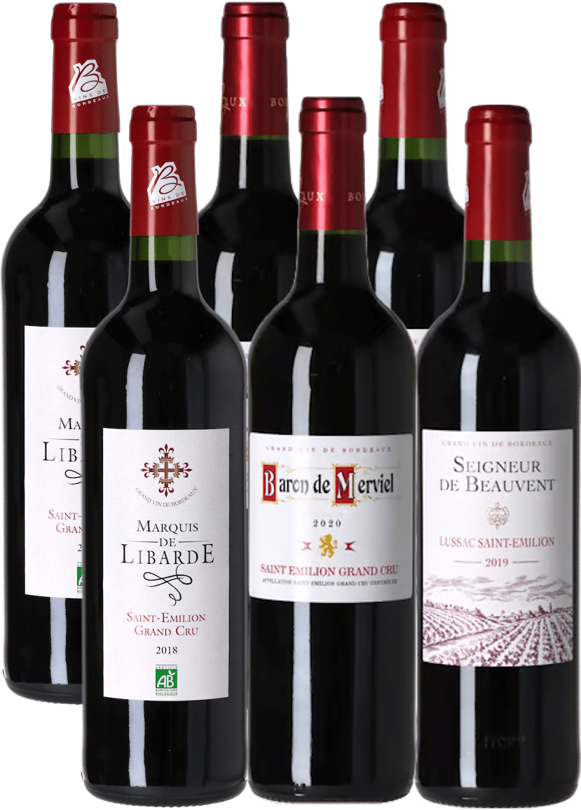 Bordeaux Mix 3, beste rotwein zum essen, beste rotwein zum ente, calle, fleggaard, tilbudsavis